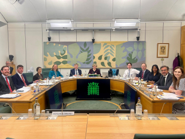 Aphra on the Foreign Affairs Committee