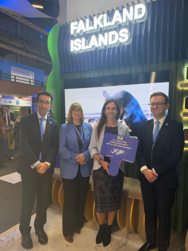 Falkland Islands